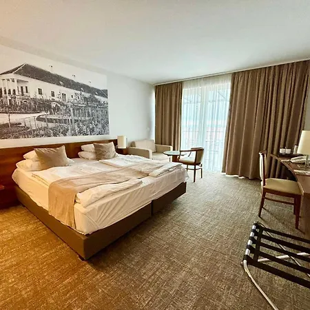 Zenit Wellness Balaton 4*