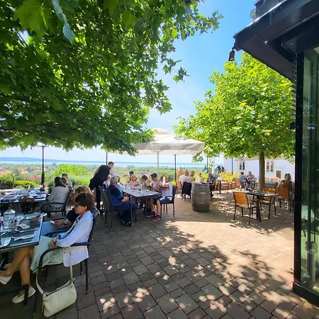 Hotel Zenit Wellness Balaton Vonyarcvashegy