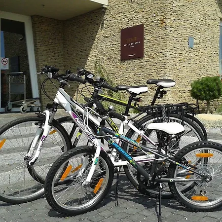 Zenit Wellness Balaton 4*