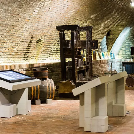 Zenit Wellness Balaton 4* Vonyarcvashegy