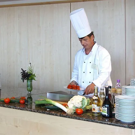 Zenit Wellness Balaton 4* Vonyarcvashegy
