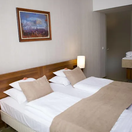 Zenit Wellness Balaton 4*