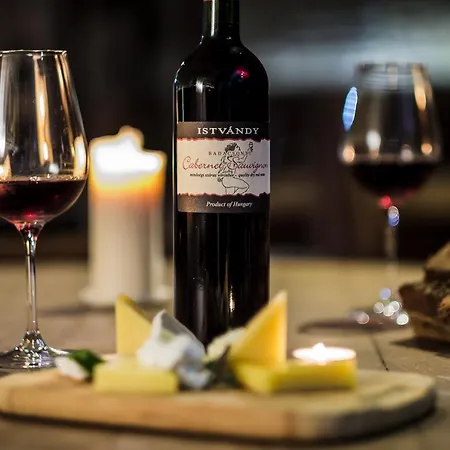 Ξενοδοχείο Zenit Wellness Balaton Vonyarcvashegy