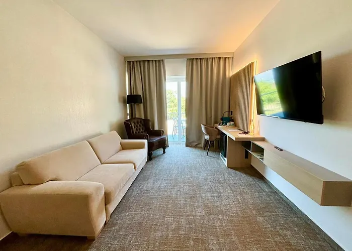 ホテル Zenit Wellness Balaton 4*