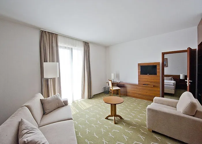 ホテル Zenit Wellness Balaton 4*